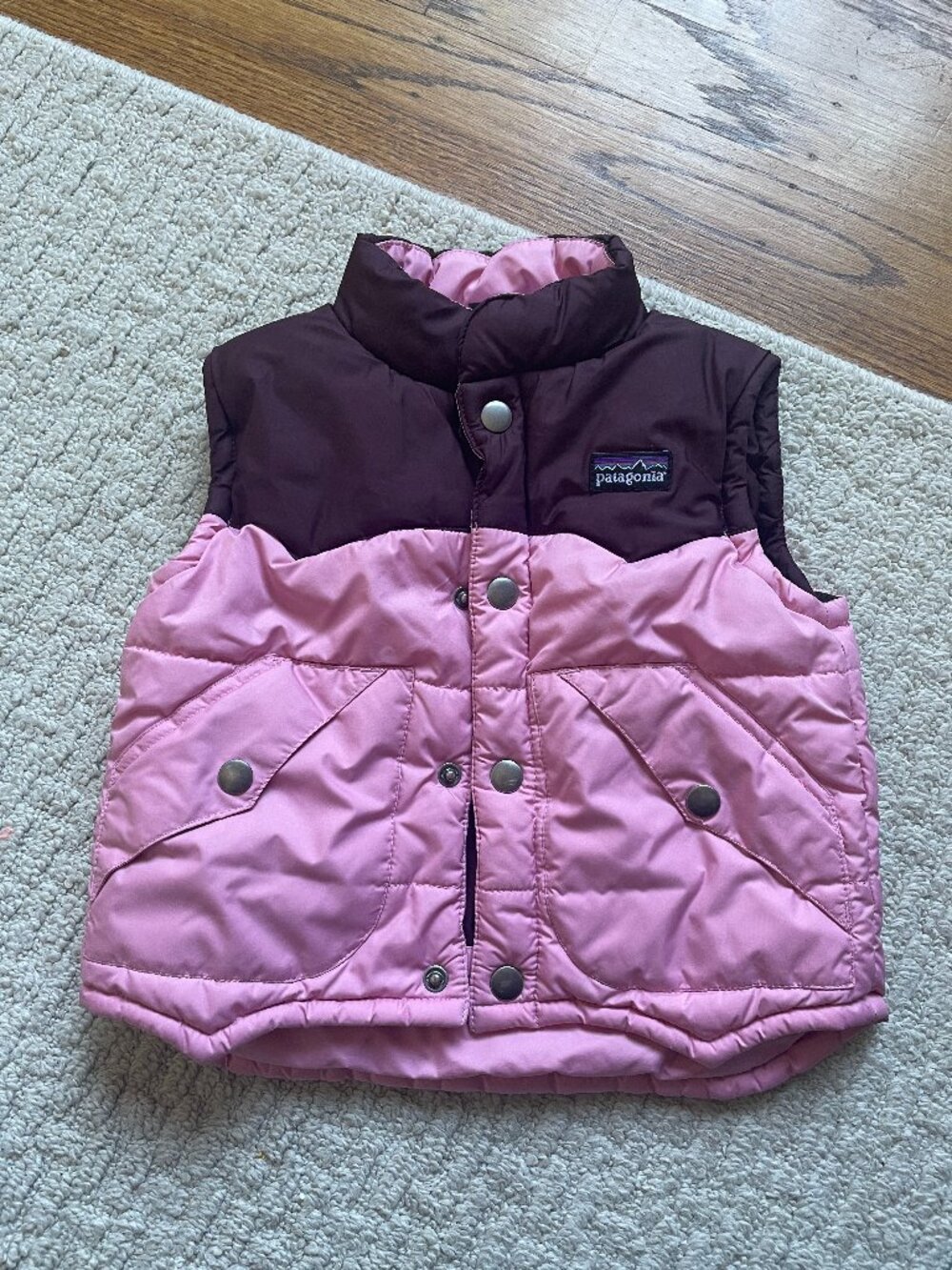 Patagonia Bivy Vest 24m